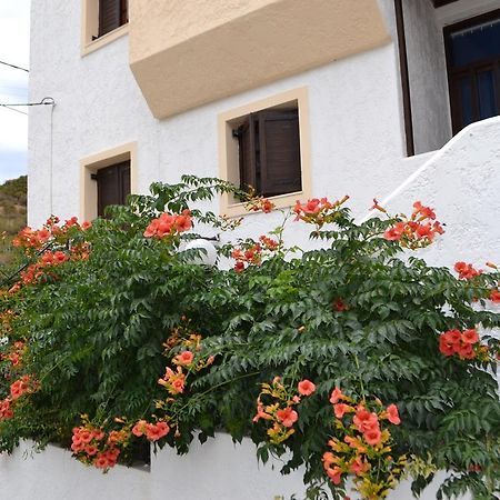 Bali Bella Casaアパートメント エクステリア 写真