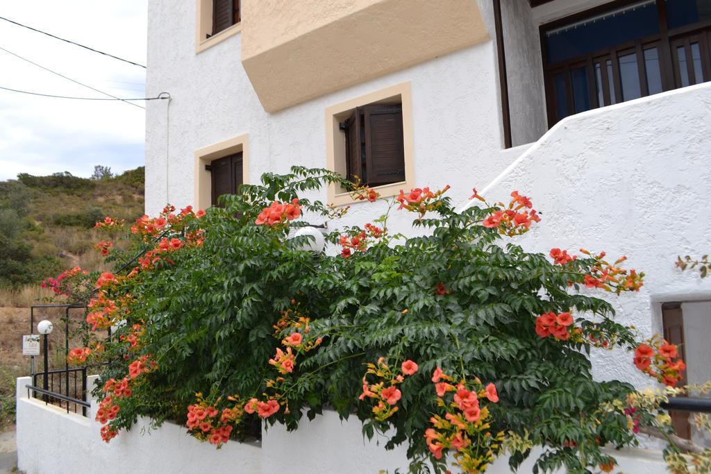 Bali Bella Casaアパートメント エクステリア 写真
